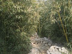 -月坛公园