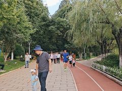 -洛龙公园