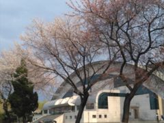 -吉林大学(南岭校区)