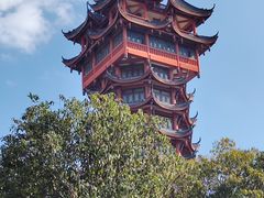 -塔子山公园