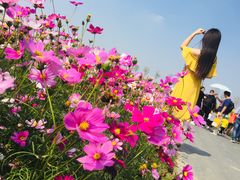 -光明小镇欢乐田园