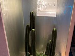 -新美姿美食水疗汇(罗湖口岸店)