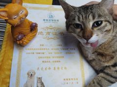 -博特宠物医院24h犬猫全科.骨科·异宠