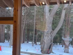 -北海道神宫