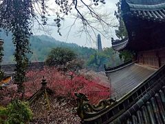 -天台山景区