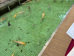-金河半岛园林酒家(金融城店)
