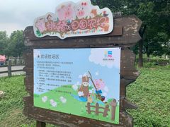 -田园东方蜜桃村的田野营地