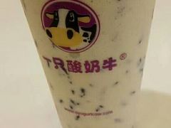 -一只酸奶牛(八一路店)