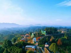 -桤木河湿地公园