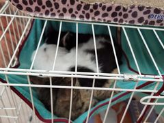 -桃记小吃(贞观街)