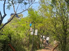 -杭州半山国家森林公园