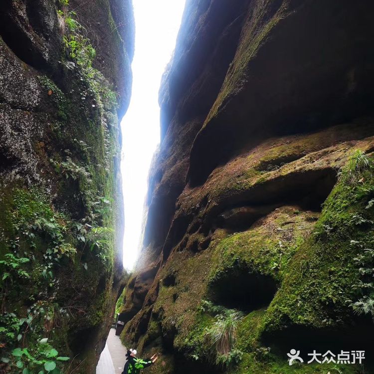 龙虎山