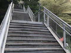 -佛山华盖山公园