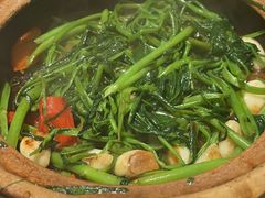 -煲煲好(朝阳门店)