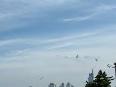 -幸福门