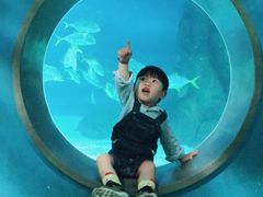 -常州海昌海洋探索馆