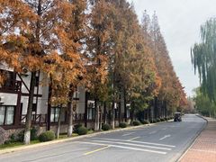 -太阳岛度假酒店