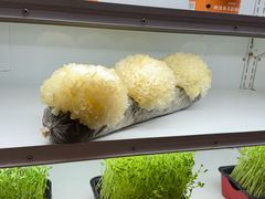 -番食园鲜食火锅(高新店)
