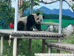 -苏州太湖国家湿地公园