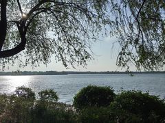 -丁香湖公园