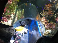 -暹罗海洋世界