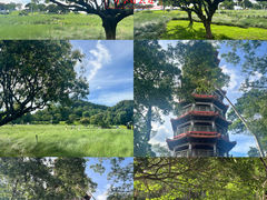 -红花山公园