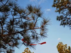 -白马涧龙池景区