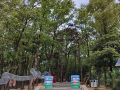 -沂蒙山旅游区云蒙景区(蒙山国家森林公园)