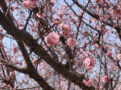 -鹫峰国家森林公园