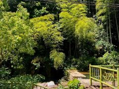 -众神白水涧景区