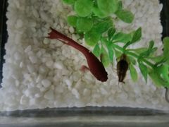 -北京崇文门桔子水晶酒店