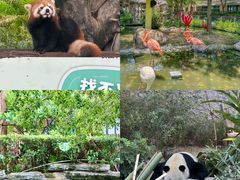 -灵玲国际马戏城