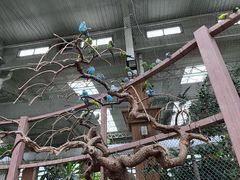 -南宫五洲植物乐园