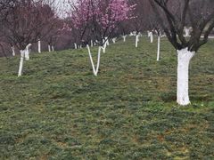 -小八仙·宴(三峡茶庄店)