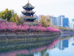 -望江楼公园