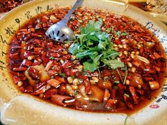 -青城甲(青城山店)