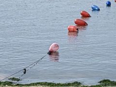 -碣石国家级海洋公园