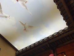 -徽三说·土徽菜·中国徽菜连锁品牌(一中店)