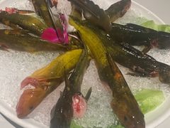 -香樟活鱼馆(渝北店)