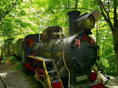 -五营红松林海景区