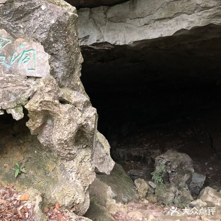 贵州荔波县茂兰，喀斯特地貌九洞天原始森林洞穴群穿越～