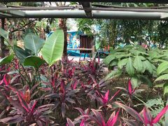 -南宫五洲植物乐园