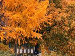 -元大都城垣遗址公园