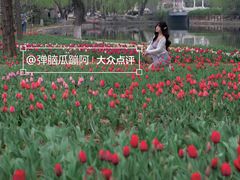 -石家庄市植物园