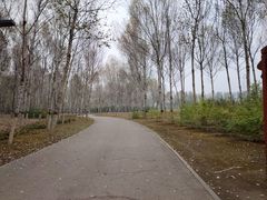 -东郊湿地公园