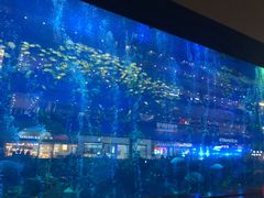 -成都浩海立方海洋公园