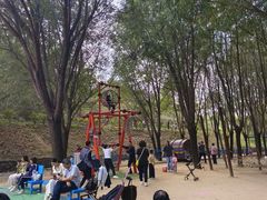 -西部长青自然儿童乐园