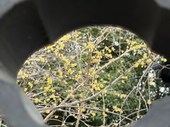 -汇龙潭
