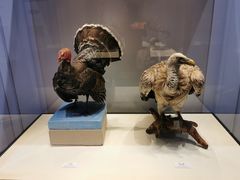 -国家自然博物馆