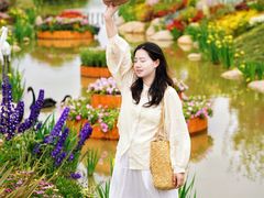 -荷兰花海